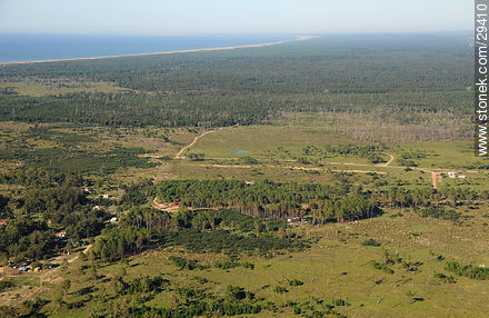 Campos costeros del Departamento de Rocha - Departamento de Rocha - URUGUAY. Foto No. 29410