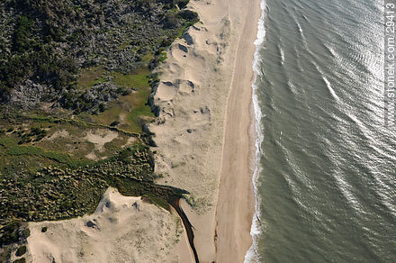 Coast of Santa Teresa park - Department of Rocha - URUGUAY. Photo #29413