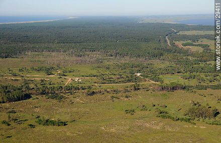 Campos costeros del Departamento de Rocha - Departamento de Rocha - URUGUAY. Foto No. 29411