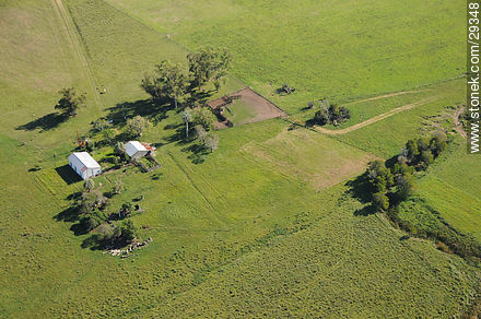 Ranch in Rocha - Department of Rocha - URUGUAY. Photo #29348