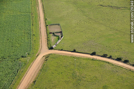 Fields of Rocha - Department of Rocha - URUGUAY. Foto No. 29349
