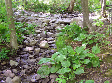  - Estado de Pennsylvania - EE.UU.-CANADÁ. Foto No. 12528