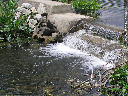 Kittatinny Valley State Park - Estado de Nueva Jersey - EE.UU.-CANADÁ. Foto No. 12606