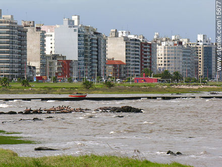  - Departamento de Montevideo - URUGUAY. Foto No. 15677