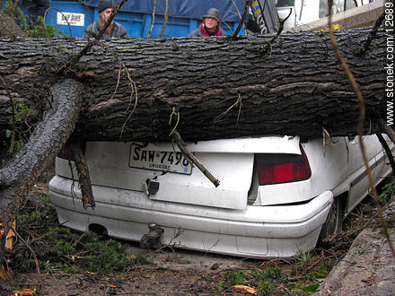 Consecuencias del temporal del día 23 de agosto de 2005 - Departamento de Montevideo - URUGUAY. Foto No. 12689