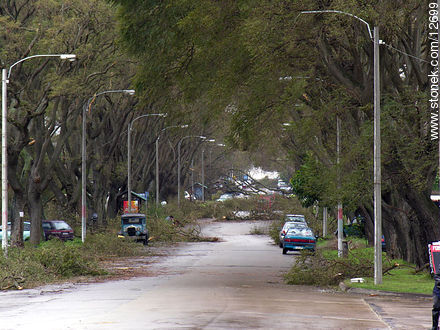 Avenida Bolivia - Departamento de Montevideo - URUGUAY. Foto No. 12699