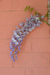 Flor de glicina contra muro rosado - Foto #32840