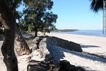 Playa Ferrando de Colonia - Foto #41962