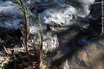 Curso de agua agitado - Foto #41926