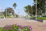 Parque Carlos Ibáñez del Campo - Foto #49801