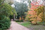 Parque del Arboreto Lussich próximo a los museos. - Foto #54647