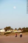 Jinetes cabalgando en la playa al amanecer con luna llena - Foto #55103