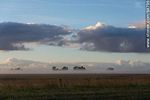Amanecer con niebla en el campo - Foto #64796