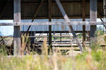 Antigua estación Bañado de Oro. Galpón de acopio para trenes de carga - Foto #77900