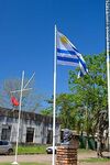 Bandera uruguaya flameando en Bella Unión - Foto #83826