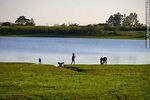 Parque frente a la costa del río Uruguay. Familia domingueando - Foto #84417