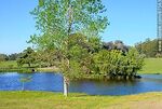 Estanque en el Parque del Bicentenario - Foto #87563