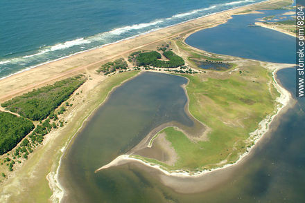 Laguna Garzón y Océano Atlántico - Punta del Este y balnearios cercanos - URUGUAY. Foto No. 8204