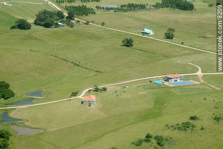 Fields and estancias close to Jose Ignacio. - Punta del Este and its near resorts - URUGUAY. Photo #8209