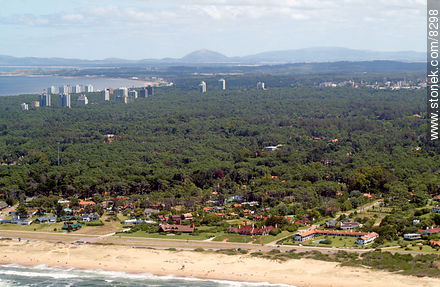 Playa Brava, Océano Atlántico. Al fondo el cerro Pan de Azúcar - Punta del Este y balnearios cercanos - URUGUAY. Foto No. 8298