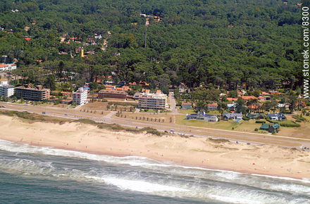  - Punta del Este and its near resorts - URUGUAY. Photo #8300