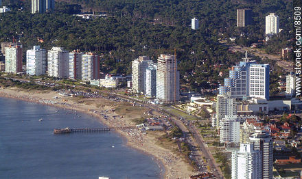  - Punta del Este and its near resorts - URUGUAY. Photo #8509