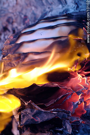 Fire. Burnt paper. -  - MORE IMAGES. Photo #10102