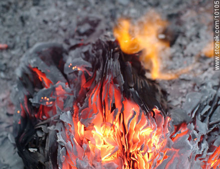 Fire. Burnt paper. -  - MORE IMAGES. Photo #10105