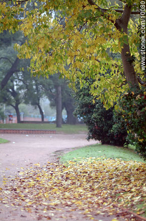  - Departamento de Montevideo - URUGUAY. Foto No. 10080