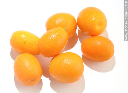 Kumquat -  - MORE IMAGES. Photo #10110