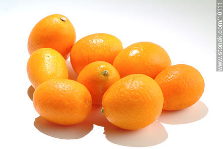 Kumquat -  - MORE IMAGES. Photo #10111