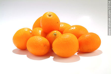 Kumquat - Flora - MORE IMAGES. Photo #10114