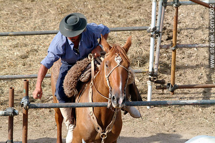  - Departamento de Montevideo - URUGUAY. Foto No. 9602