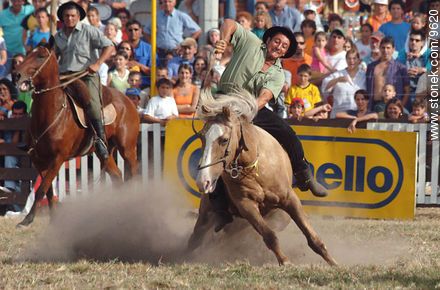  - Departamento de Montevideo - URUGUAY. Foto No. 9620