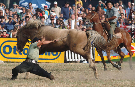  - Departamento de Montevideo - URUGUAY. Foto No. 9624