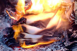 Fuego. Papel quemado. - Foto #10101