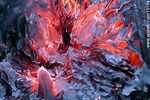 Fuego. Papel quemado. - Foto #10104
