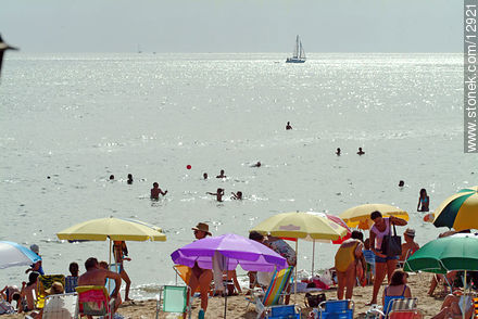  - Punta del Este and its near resorts - URUGUAY. Photo #12921