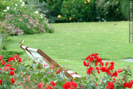 Reposera - Punta del Este y balnearios cercanos - URUGUAY. Foto No. 13081