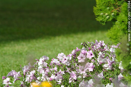  - Punta del Este y balnearios cercanos - URUGUAY. Foto No. 13084