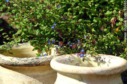  - Punta del Este y balnearios cercanos - URUGUAY. Foto No. 13085