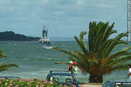  - Punta del Este and its near resorts - URUGUAY. Photo #13124