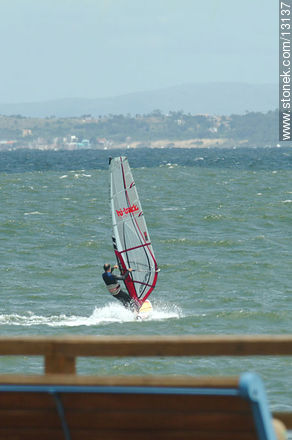 Windsurf - Punta del Este and its near resorts - URUGUAY. Photo #13137