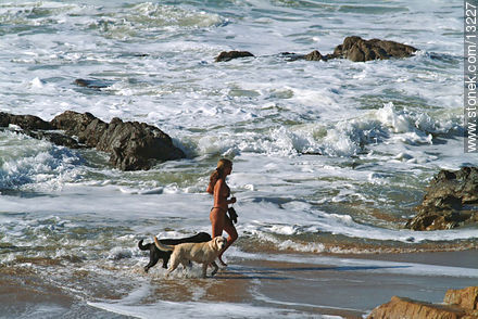 Paseando perros labradores - Punta del Este y balnearios cercanos - URUGUAY. Foto No. 13227