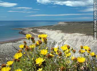 View of Golfo Nuevo. Estancia San Gulllermo. Chubut. - Province of Chubut - ARGENTINA. Photo #3025