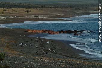  - Province of Chubut - ARGENTINA. Photo #5456