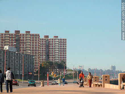  - Department of Montevideo - URUGUAY. Photo #3805