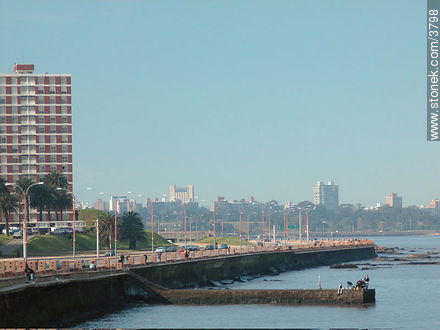  - Department of Montevideo - URUGUAY. Foto No. 3798