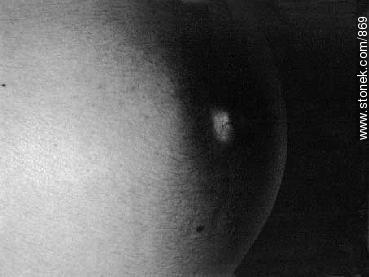 Pregnant woman -  - MORE IMAGES. Photo #869