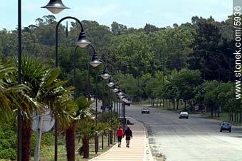 Colonia´s promenade - Department of Colonia - URUGUAY. Photo #5936